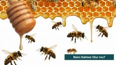 Balın Sahtesi Olur Mu?