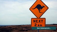 Seni Anlamıyorum…