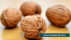 Ceviz’in Kabuğu Şifa Dolu