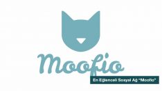 Artık Hayvanların Da Bir Sosyal Ağı Var, Şimdi İnsanlar Düşünsün!