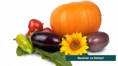 Besinlerin Etkilerinin Neler Olduğunu Biliyor Musunuz?