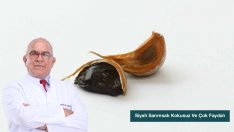 Siyah Sarımsak Kokusuz Ve Çok Faydalı