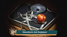 Obezitenin Adı Değişiyor