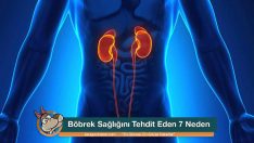 Böbrek Sağlığını Tehdit Eden 7 Neden