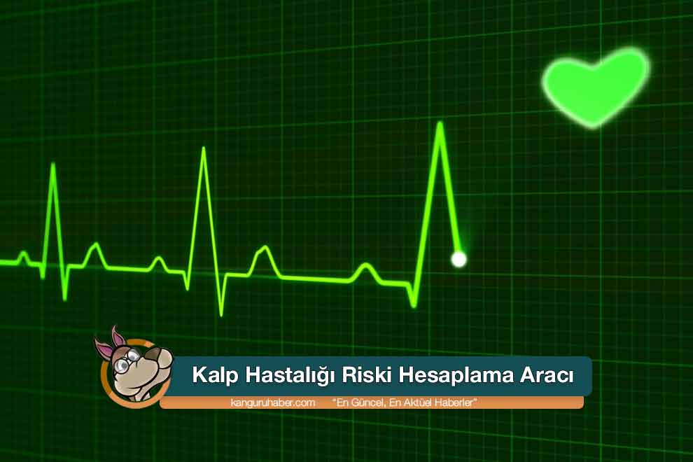 Kalp Riski | ARİS Resmi Web Sitesi