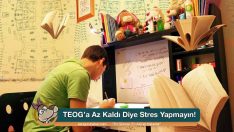 TEOG’a Az Kaldı Diye Stres Yapmayın!