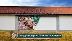 Gelişigüzel Yapılan Grafitiler Tarih Oluyor