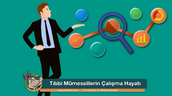 Tıbbi Mümessillerin Çalışma Hayatı Araştırma Sonuçları