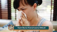 Yazın Burun Kanamasına Dikkat!