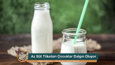 Az Süt Tüketen Çocuklar Dalgın Oluyor