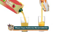 Meyve Suyu Hakkında Merak Edilenler