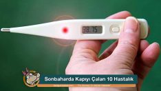 Sonbaharda Kapıyı Çalan 10 Hastalık